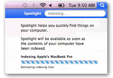 spotlight-keeps-indexing